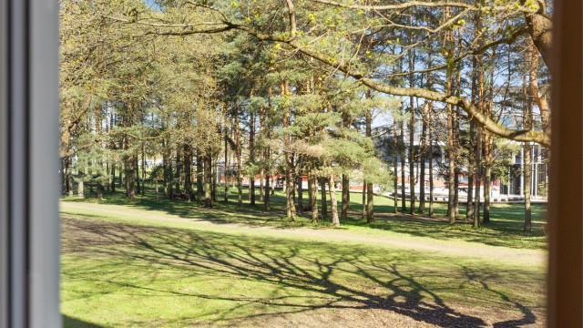 Herlig utsikt fra kjøkkenet mot grønt og idyllisk friområde