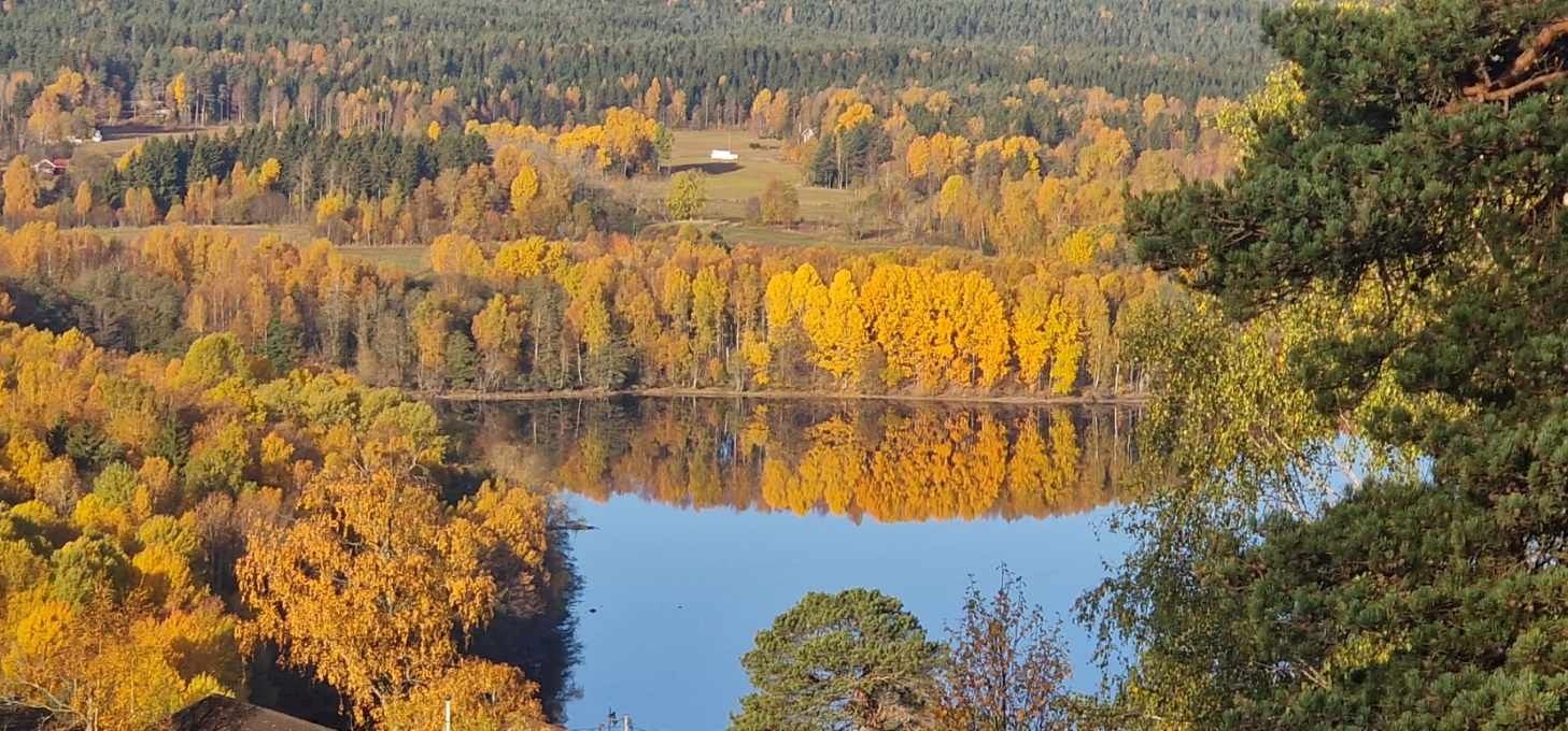 Stemningsbilde høst - selgers bilde