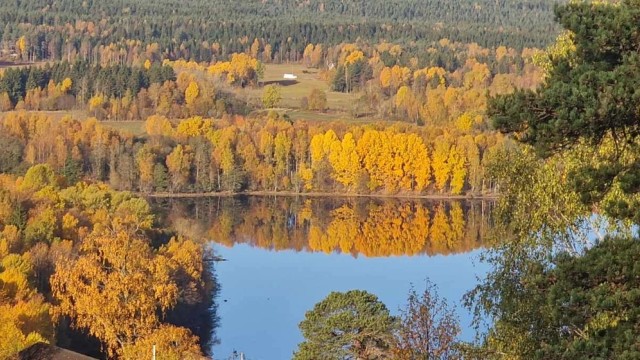 Stemningsbilde høst - selgers bilde