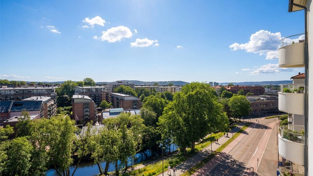 Grønn utsikt på sommerstid