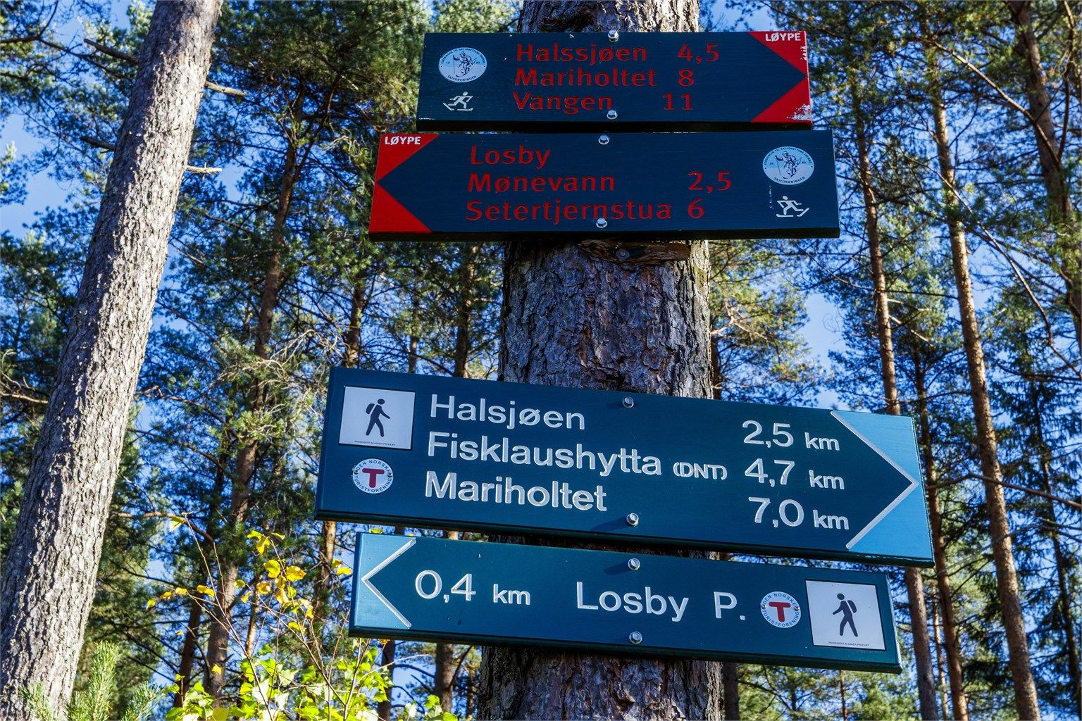 Kort vei til Østmarka med fantastiske turmuligheter. 
