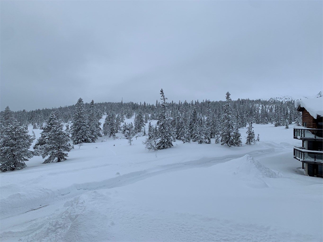 Fin utsikt mot storslagen natur fra balkongen og alle vinduene i leiligheten