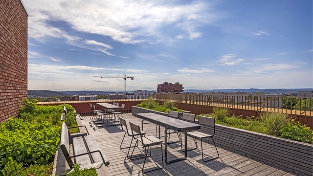 Felles takterrasse med god utsikt.