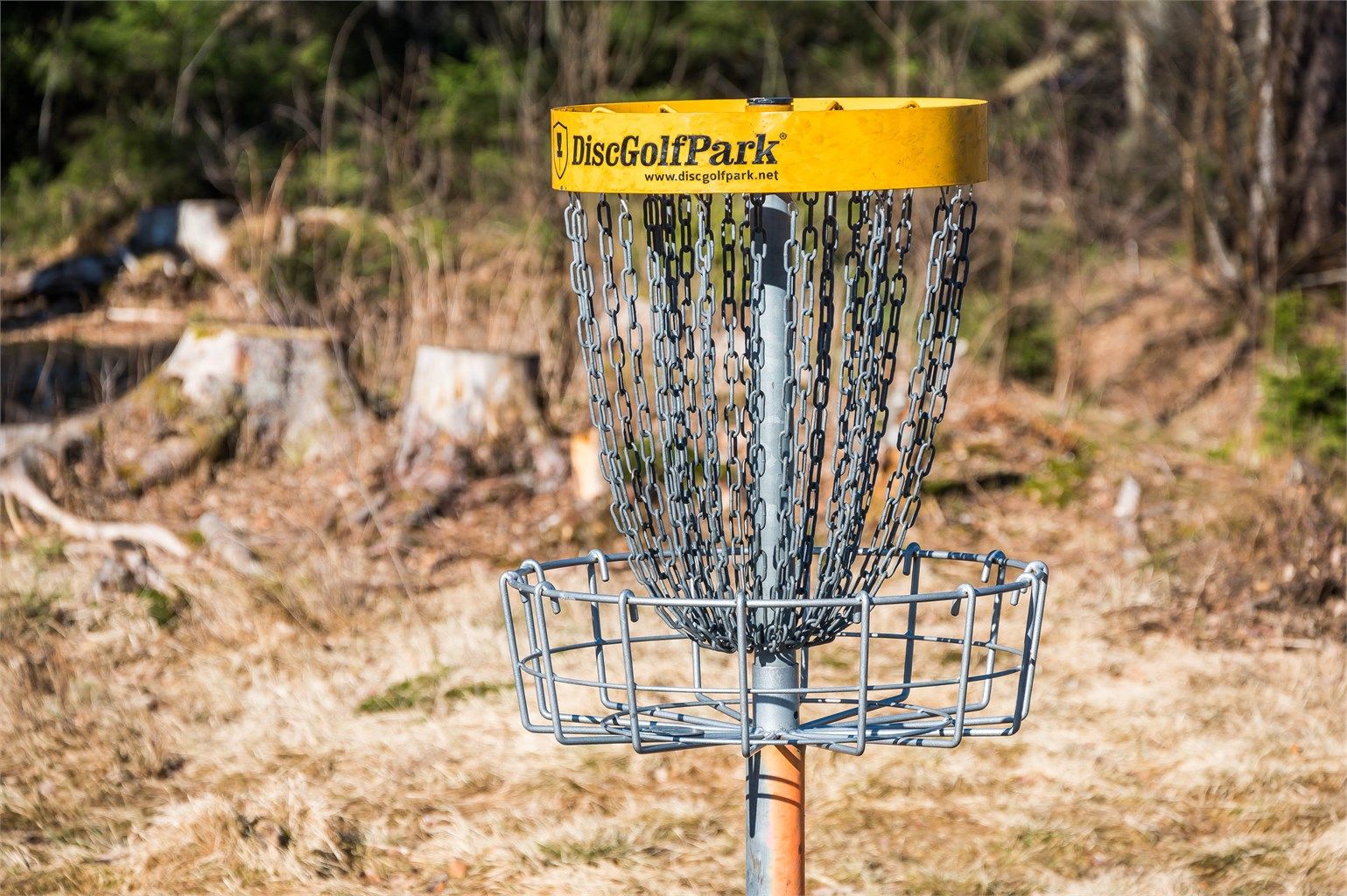 Frisbeegolfbane - stor miljø for dette. 