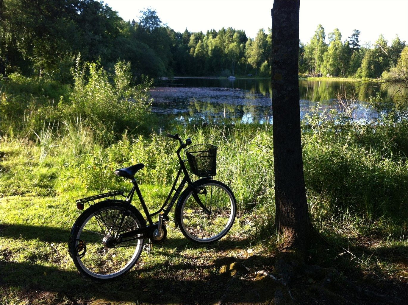 .....eller ta en helt impulsiv kveldsdukkert ved Bråten (Nøklevann)?