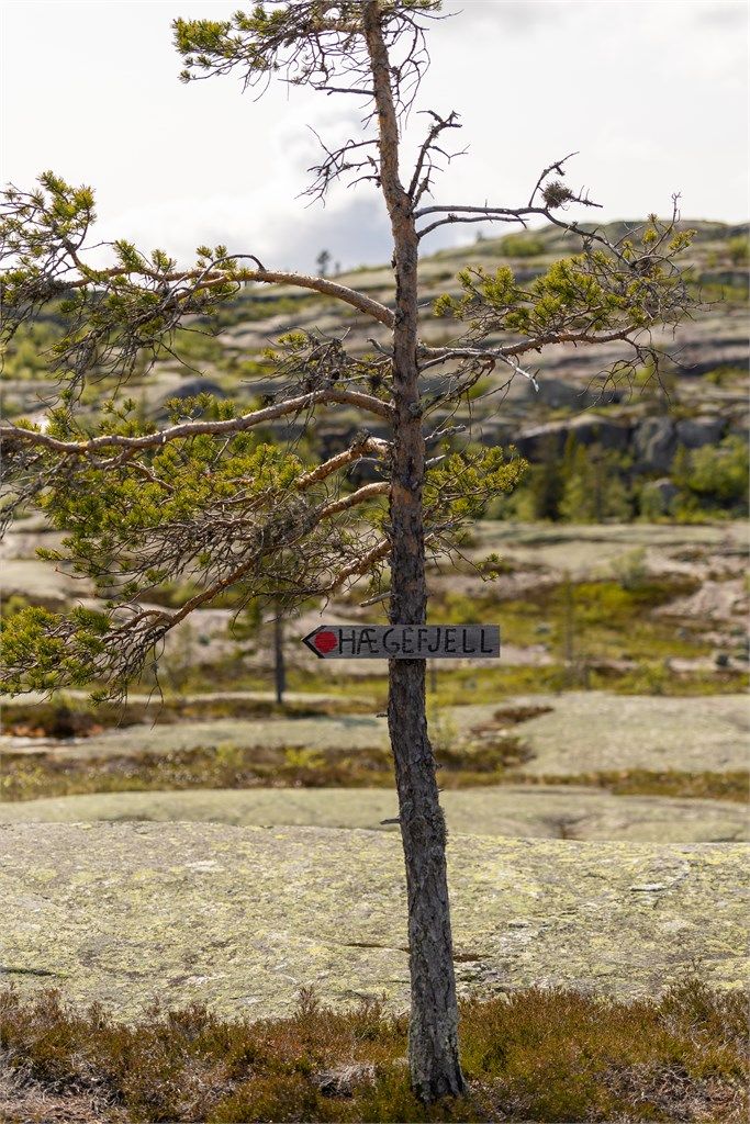 Flotte turområder på toppen av Vrådal.