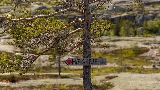 Flotte turområder på toppen av Vrådal.