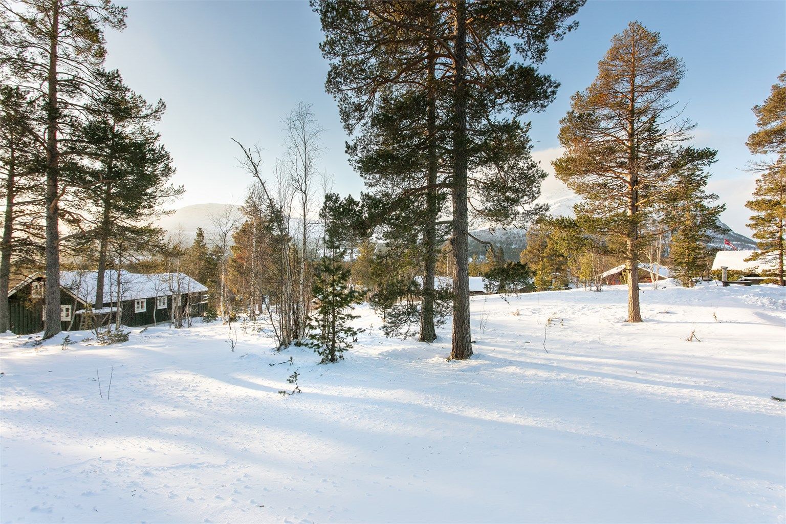 Romslig tomt med lite innsyn på eiendommen