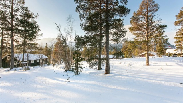Romslig tomt med lite innsyn på eiendommen