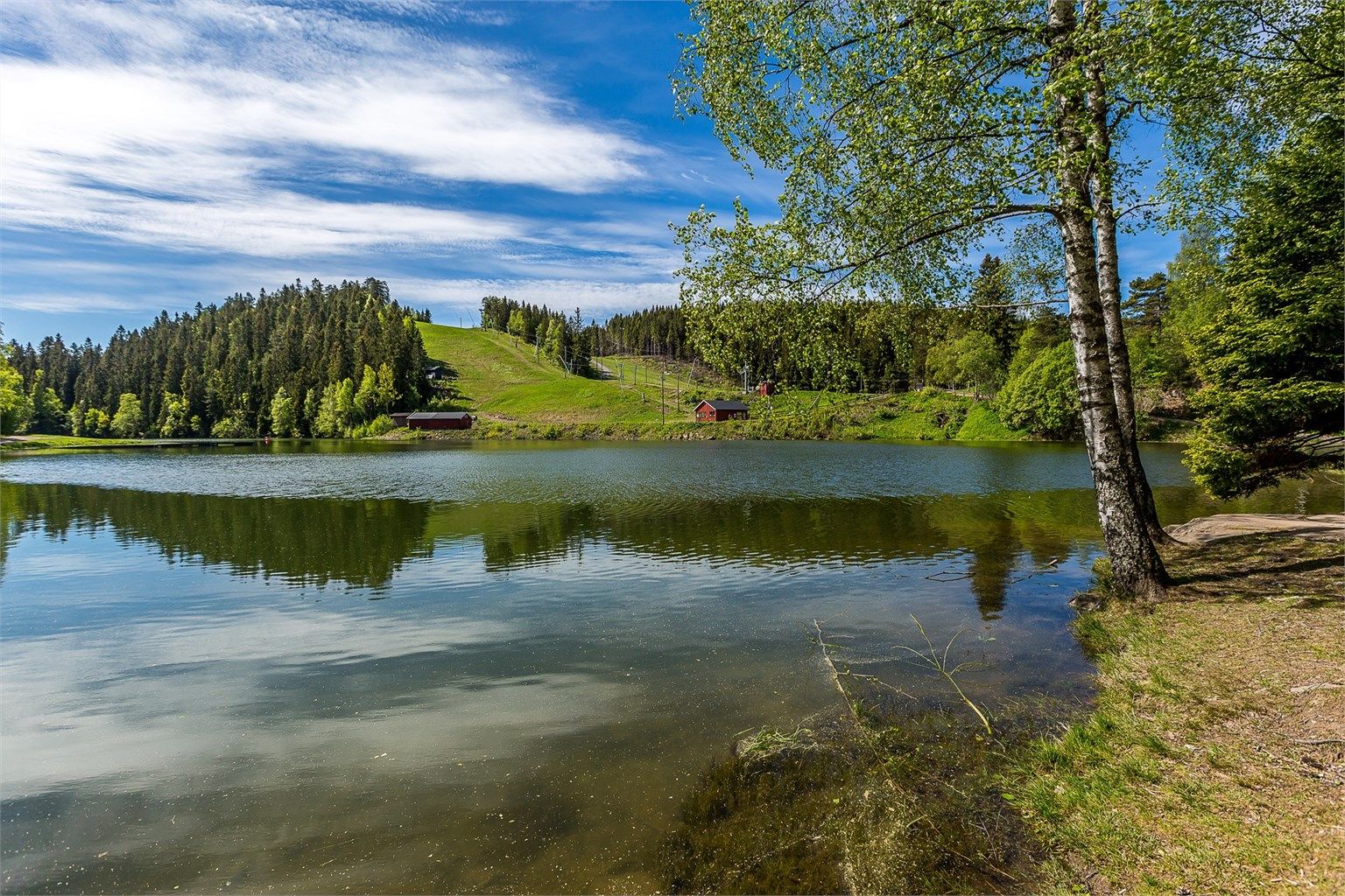 Trollvann