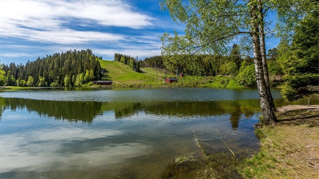 Trollvann