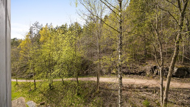 Umiddelbar nærhet til flotte turveier bak blokkene i Bragernesåsen blant annet til Klopptjern med gode bademuligheter.
