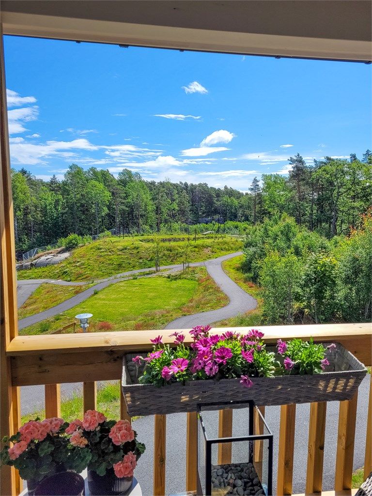 Området byr på grønne plenarealer, hyggelig beplantning og flotte trær som skaper et frodig og trivelig bomiljø. (Private bilder)