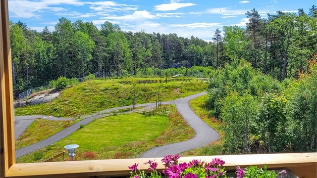 Området byr på grønne plenarealer, hyggelig beplantning og flotte trær som skaper et frodig og trivelig bomiljø. (Private bilder)
