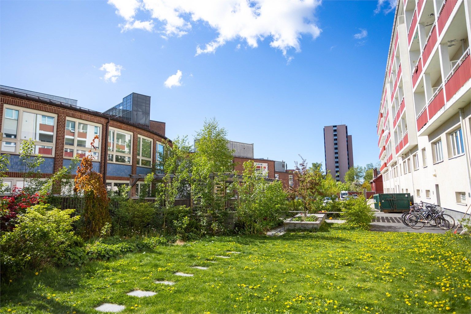 Aksjelaget har en frodig og hyggelig bakgård med flott beplantning og sittegrupper. 