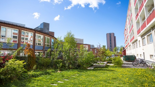 Aksjelaget har en frodig og hyggelig bakgård med flott beplantning og sittegrupper.