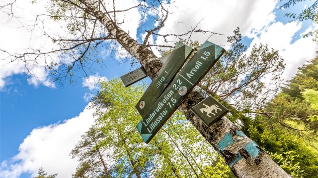 Veien er også kort til Lillomarka, som kan by på et eldorado av flotte tur- og skiløyper.
