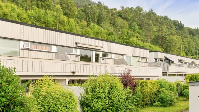- Velkommen til en hyggelig visning -