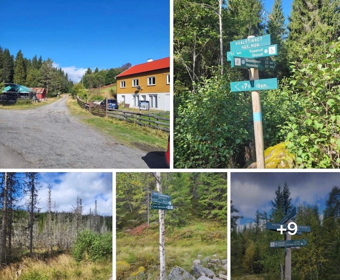 Gran Almenning bekrefter at de er i gang med oppgradering av veien fra Breitjern til Skjerva. Planlagt ferdigstillelse er neste år, men det kan gjenstå noe arbeid til 2028.
