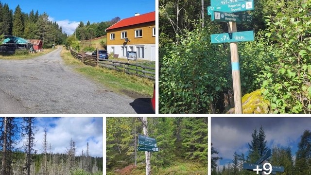 Gran Almenning bekrefter at de er i gang med oppgradering av veien fra Breitjern til Skjerva. Planlagt ferdigstillelse er neste år, men det kan gjenstå noe arbeid til 2028.