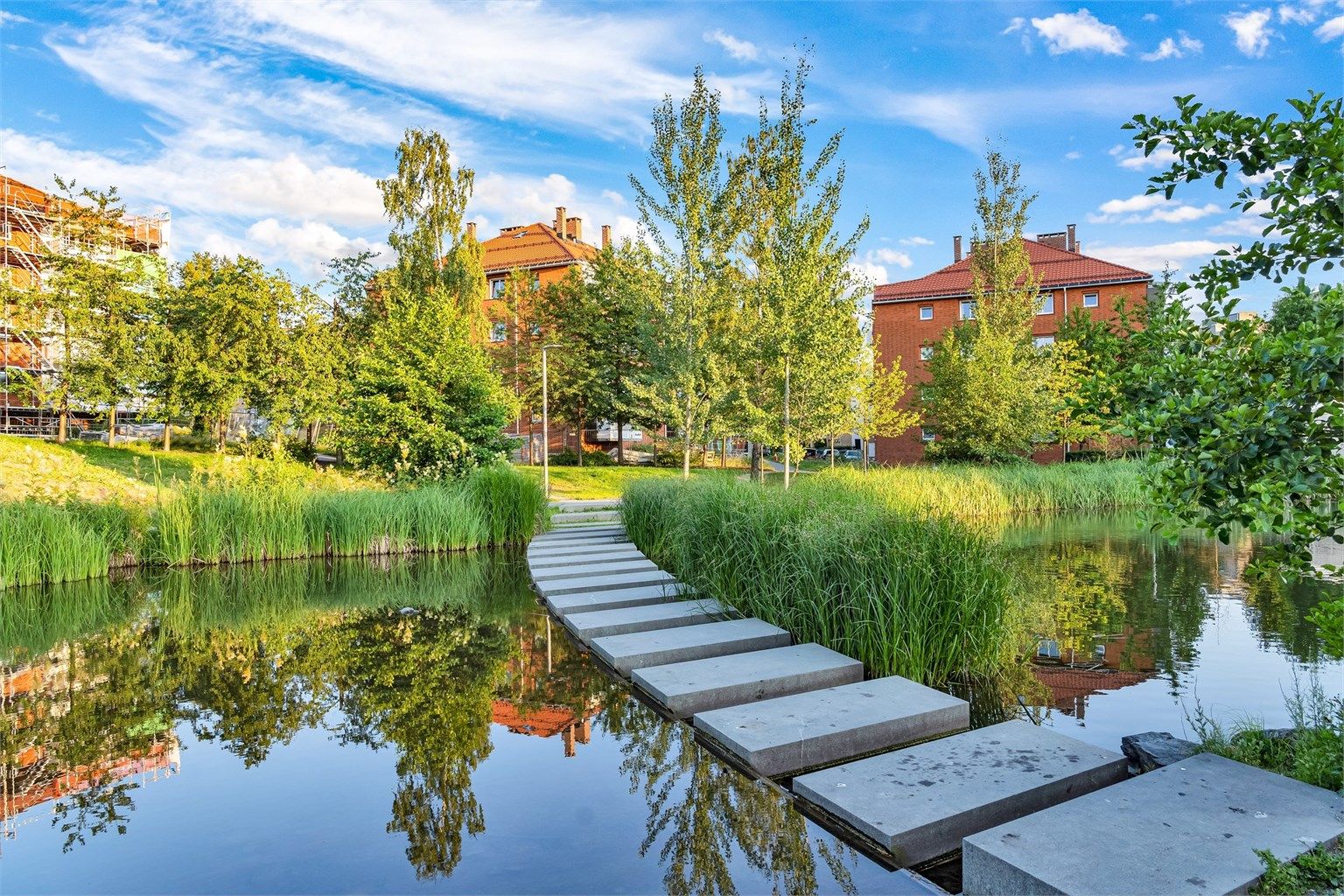 Hyggelig vei opp mot Hovin og andedammen fra Teglverksdammen og Hasle Torg