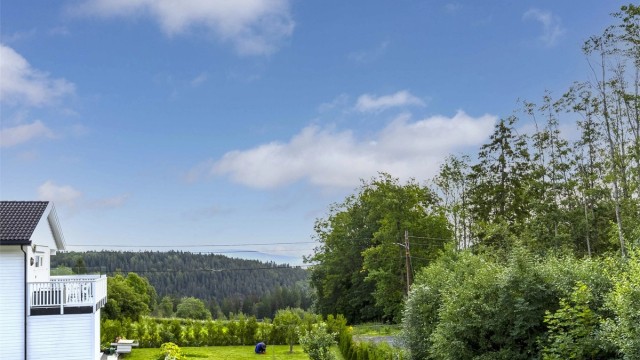 Utsikt - Nærområdet