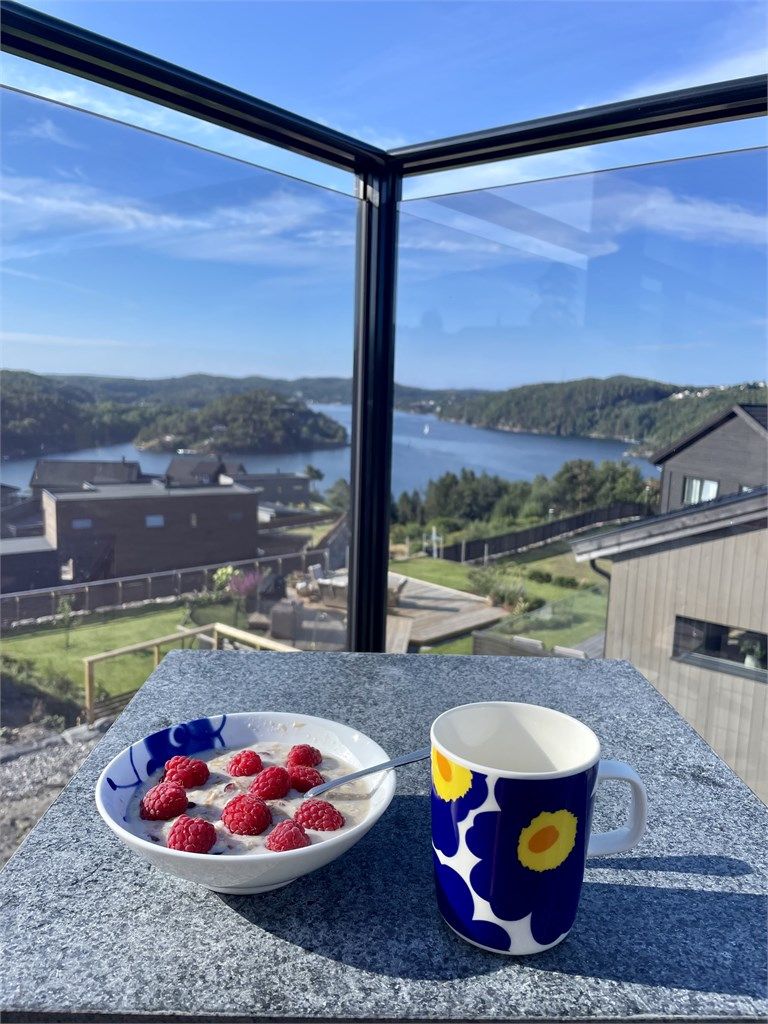 Fantastisk utsikt mot Epleviktangen og Tvedestrandsfjorden hvor det er mye liv og røre man kan se i sommersesong.