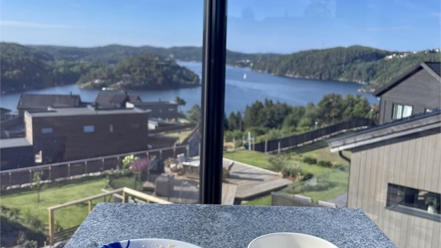 Fantastisk utsikt mot Epleviktangen og Tvedestrandsfjorden hvor det er mye liv og røre man kan se i sommersesong.