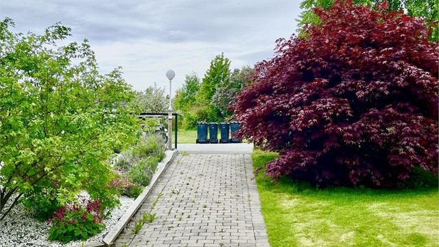 Tomten har en stor, asfaltert parkeringsplass som deles med naboen, og her er det plass til flere biler