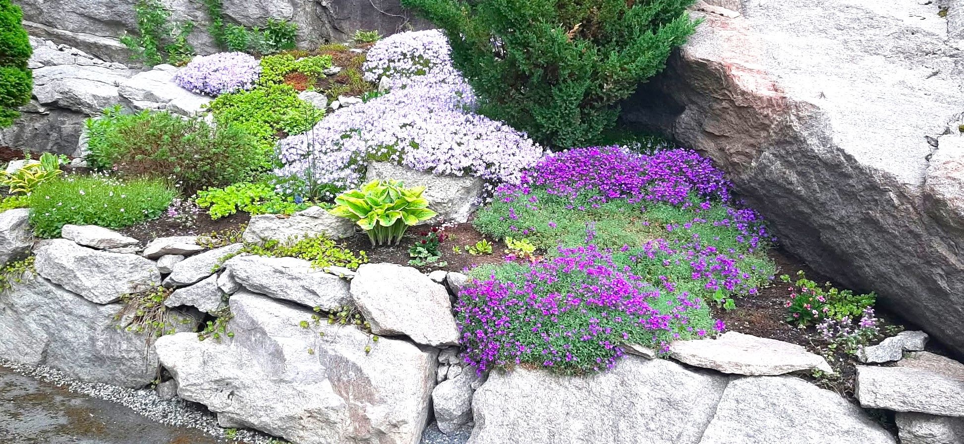 Beplantninger i sameiet - Selgers bilde.