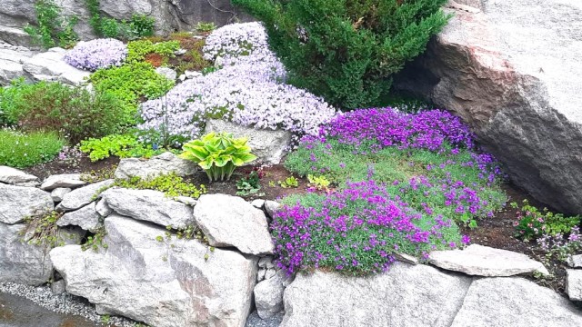 Beplantninger i sameiet - Selgers bilde.