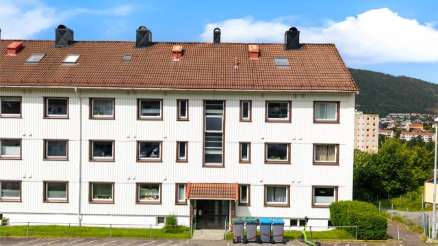 Leiligheten er tilknyttet Borettslaget Kristofer Jansonsvei Nr. 80 X. Borettslaget er veldrevet og består av 42 leiligheter.