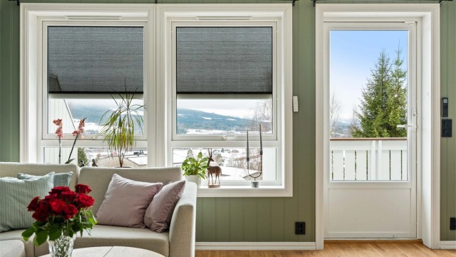 Screens er montert på stuevinduer.