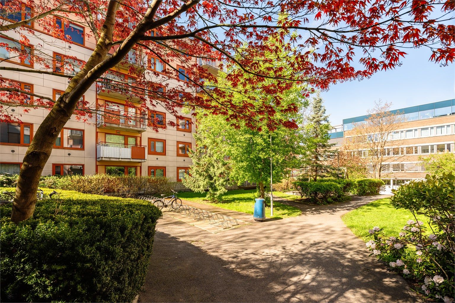 Hyggelige fellesområder.
