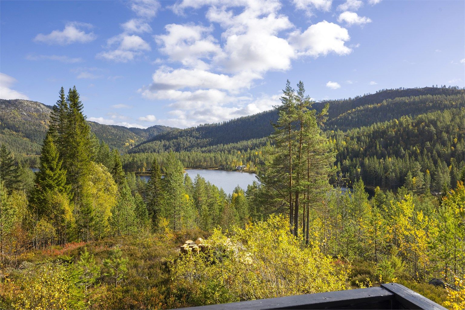 Nærområdet byr på rolige naturomgivelser, badevann og gode turmuligheter rett utenfor hyttedøren.