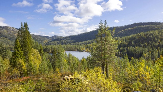 Nærområdet byr på rolige naturomgivelser, badevann og gode turmuligheter rett utenfor hyttedøren.