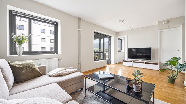 Leiligheten har umiddelbar nærhet til Union brygge, Strømsø torg og Bragernes torg.