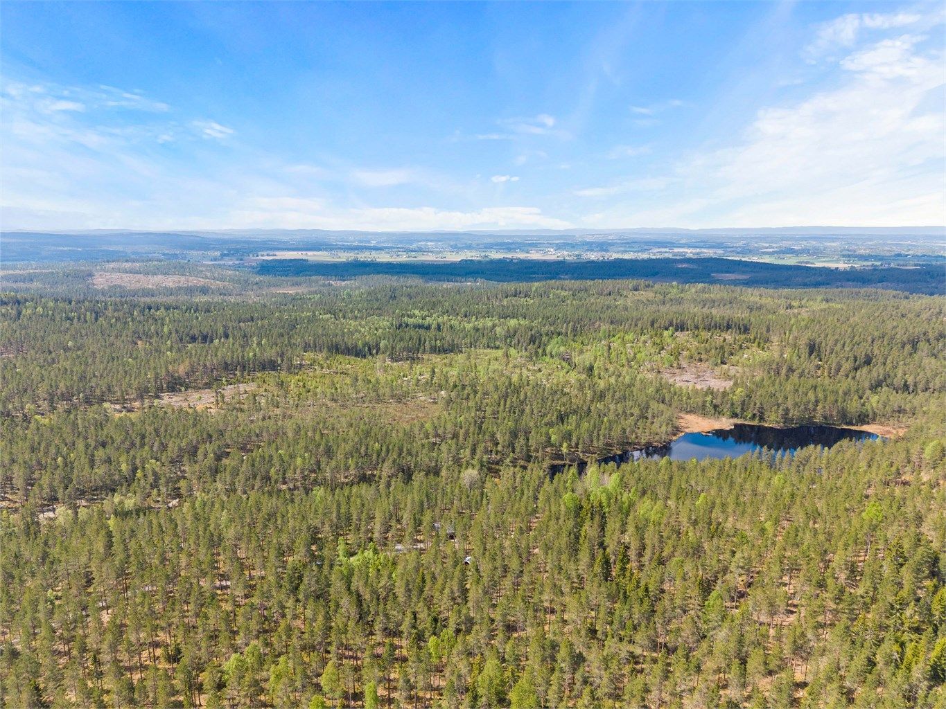 Skogen byr på gode muligheter for jakt, friluftsliv og rekreasjon.