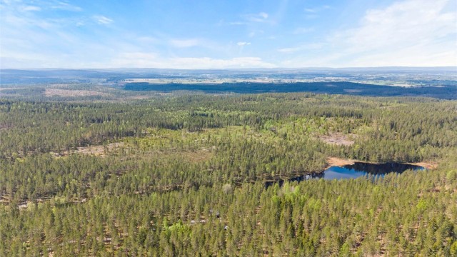 Skogen byr på gode muligheter for jakt, friluftsliv og rekreasjon.