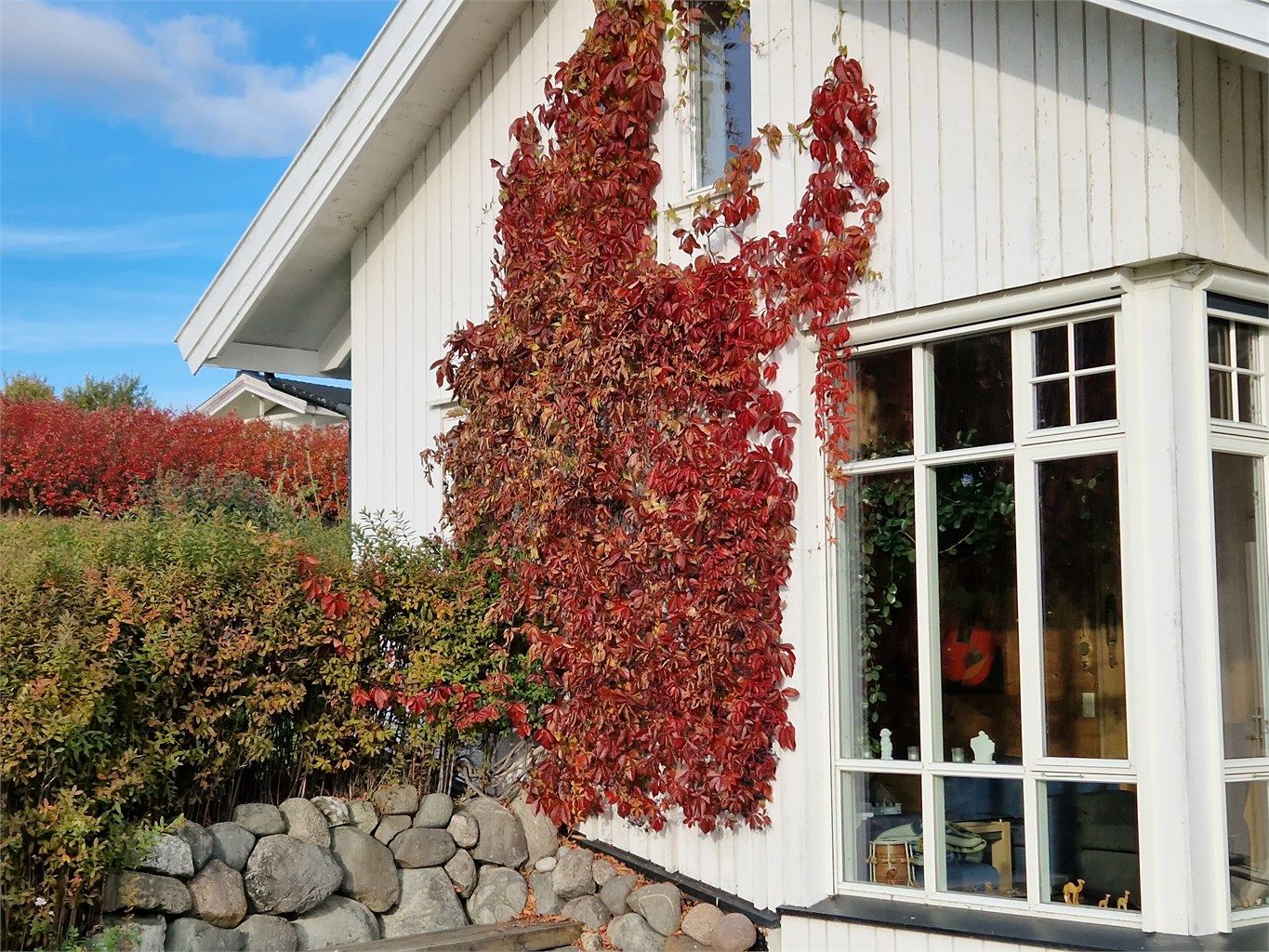 Beplantninger (Bilde fra selger)