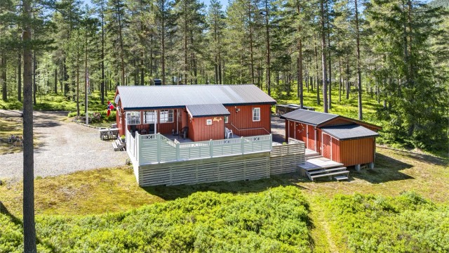 Gjevden 75- Sjarmerende og innholdsrik hytte i naturskjønne omgivelser.