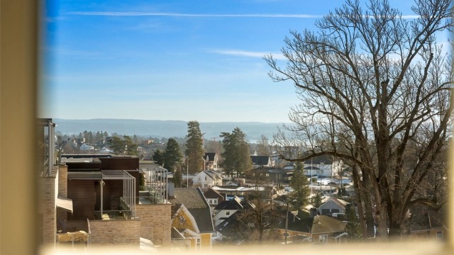 Eiendommen er omgitt av en vernet park som gir et rolig og idyllisk preg.