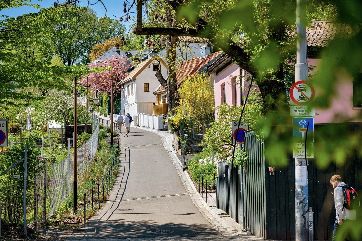 Nærområdet: Beliggenheten er "midt i smørøyet". Idylliske Damstredet, med sine sjarmerende småhus, ligger som en av de nærmeste nabogatene.