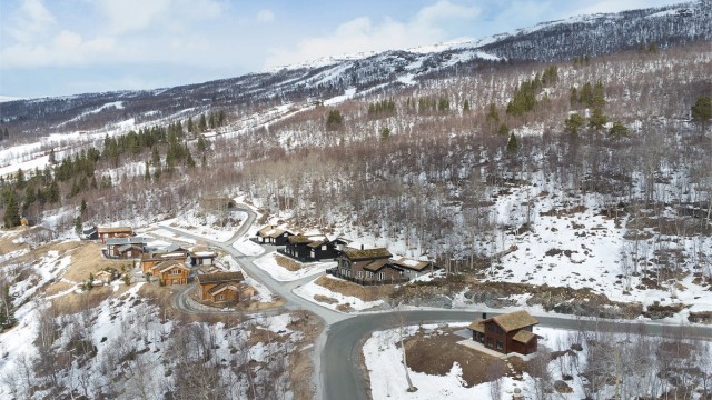 Hytta ligger i et etablert og populært hyttefelt, med ca. 2 km til Bjorli sentrum med butikk og skitrekk.