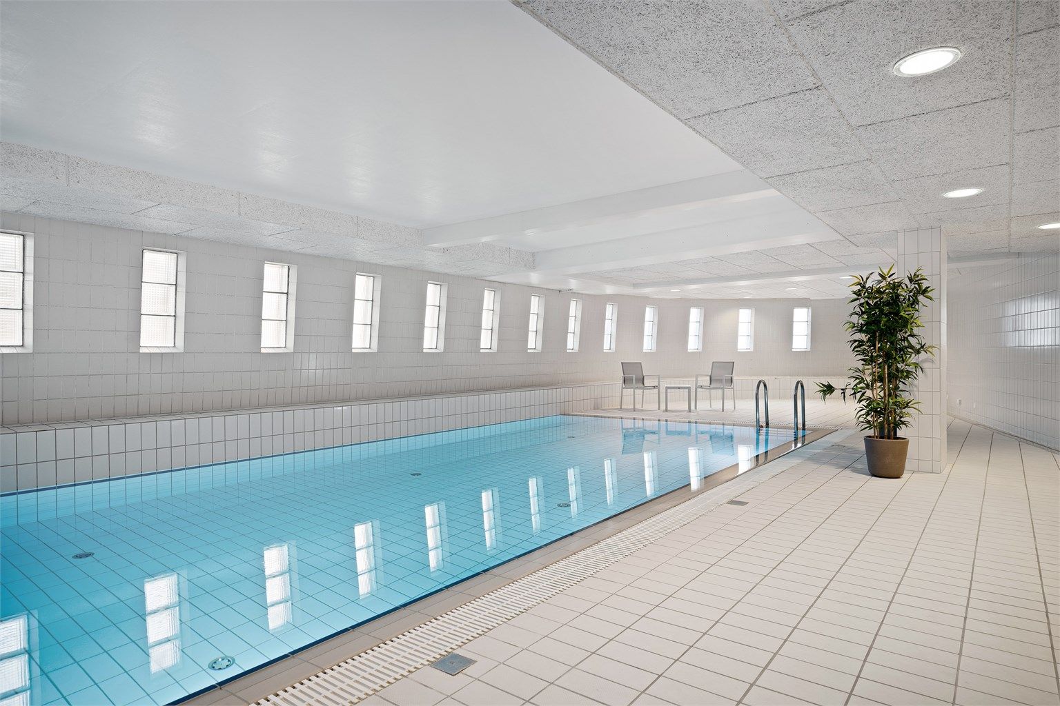 Felles svømmebasseng.
