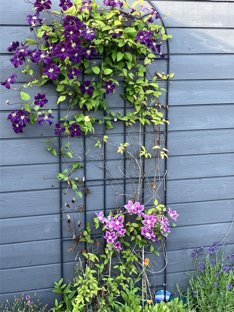 Selgers egne sommerbilder