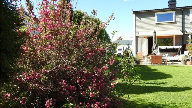 Hage/terrasse - Selgers bilde.