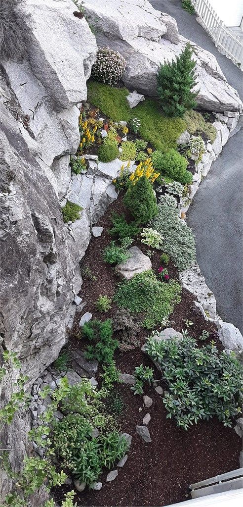 Beplantninger i sameiet - Selgers bilde.