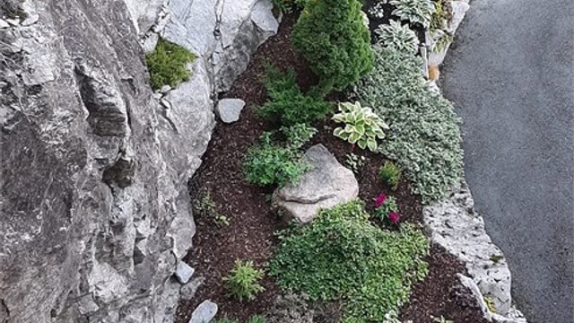 Beplantninger i sameiet - Selgers bilde.