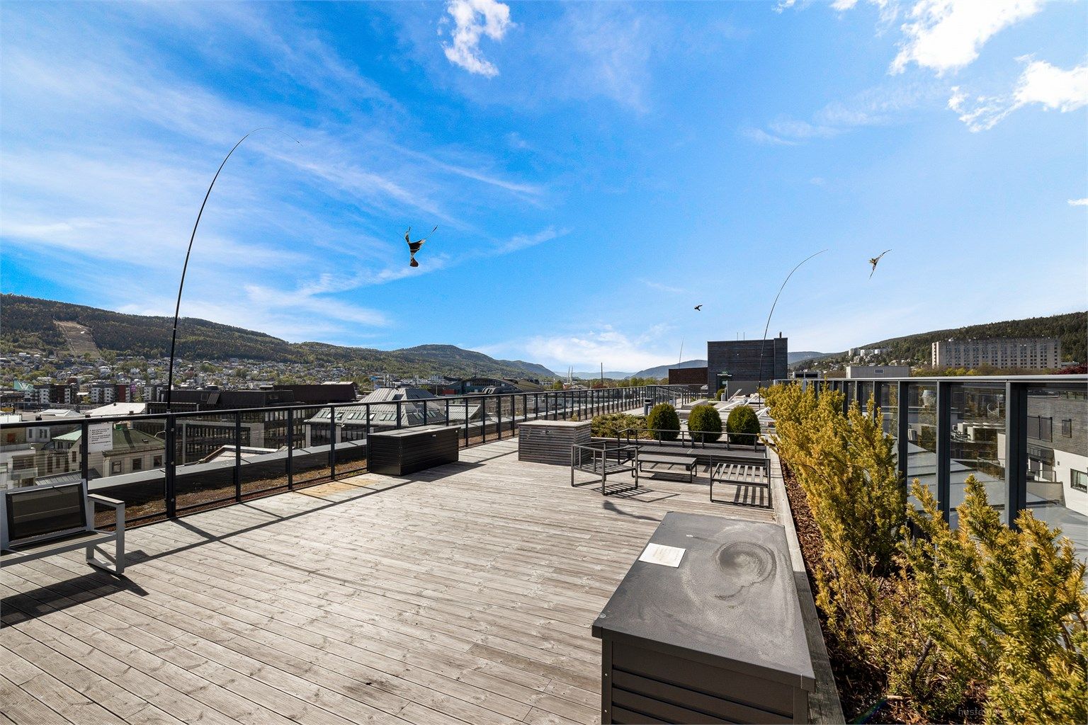 Felles takterrasse.